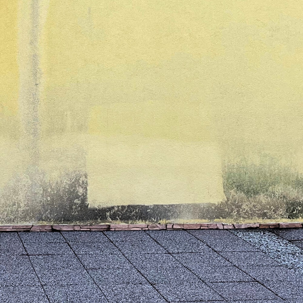 Fassadenreiniger 5kg Algen Moos Pilze Entferner Sofort Wirkend Konzentrat L+72 – Bild 6